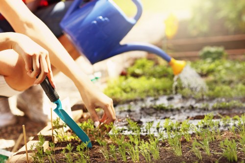 Gardeners in West Hendon maintaining a neat and healthy garden