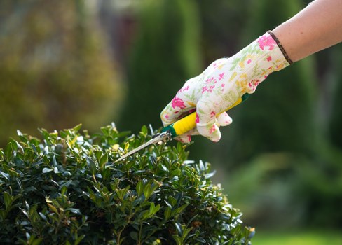 Gardeners West Hendon team overview with professional outdoor care