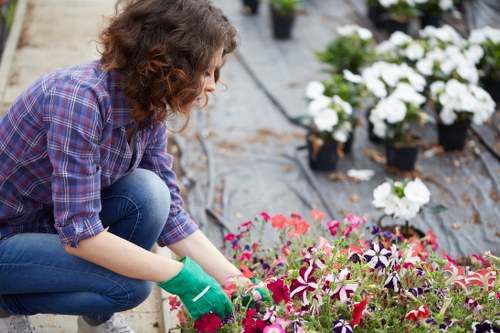 Accessible website design for Gardeners West Hendon