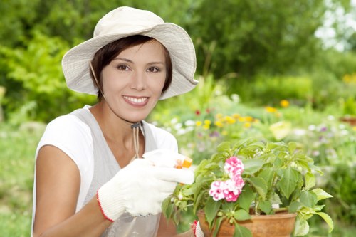 Free quote review for garden maintenance in a West Hendon courtyard