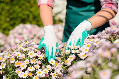 West Hendon garden quote with clear costs for maintenance and clearance