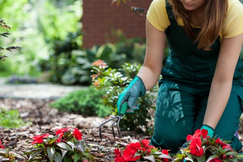 Supplier audit process for West Hendon gardening services