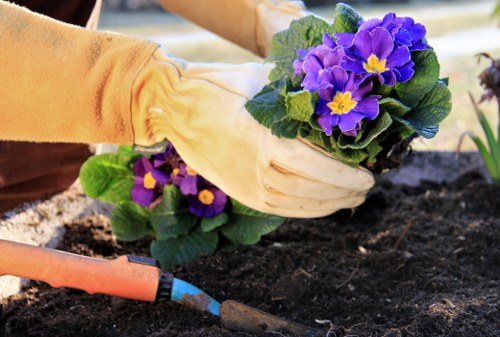 Gardeners West Hendon pricing for a house near a busy road