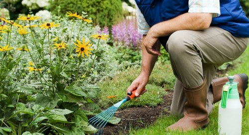 Professional team clearing shrubs and branches in West Hendon