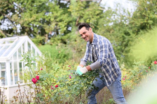 Seasonal hedge trimming work in West Hendon