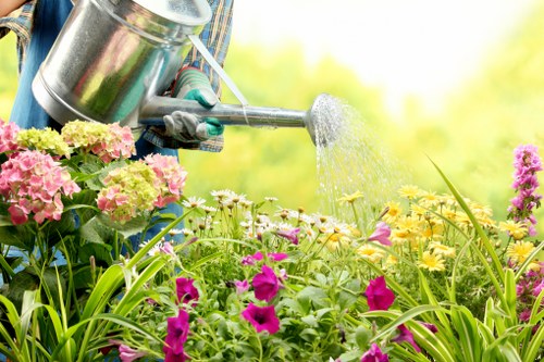 Lawn mowing and hedge trimming in West Hendon