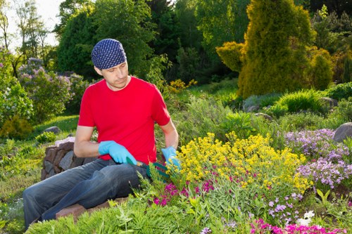 Seasonal garden upkeep with plants and borders in West Hendon