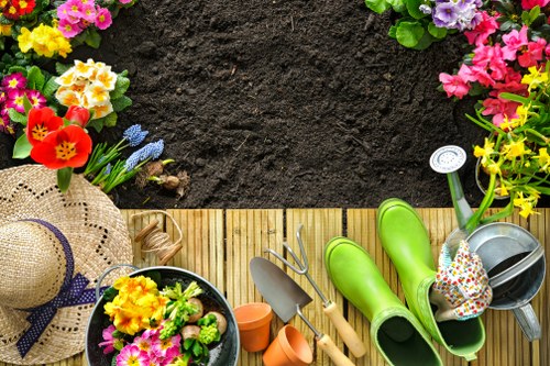Seasonal lawn and hedge care by gardeners in West Hendon