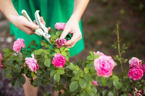 Accepted payment methods for Gardeners West Hendon services
