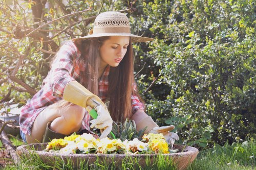 Feeding and restoring a lawn in West Hendon