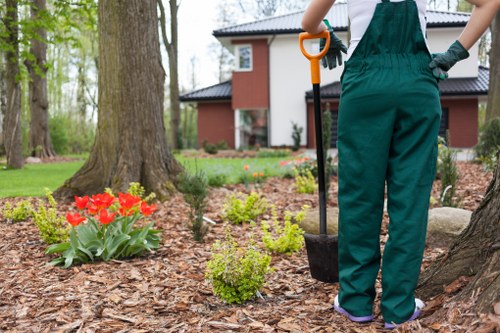 Patio and pathway landscaping in West Hendon