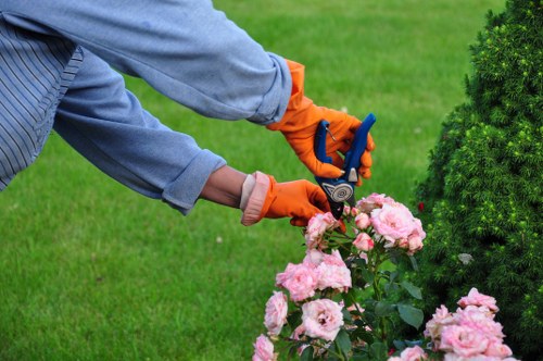 Choosing the right fence for privacy and security in West Hendon