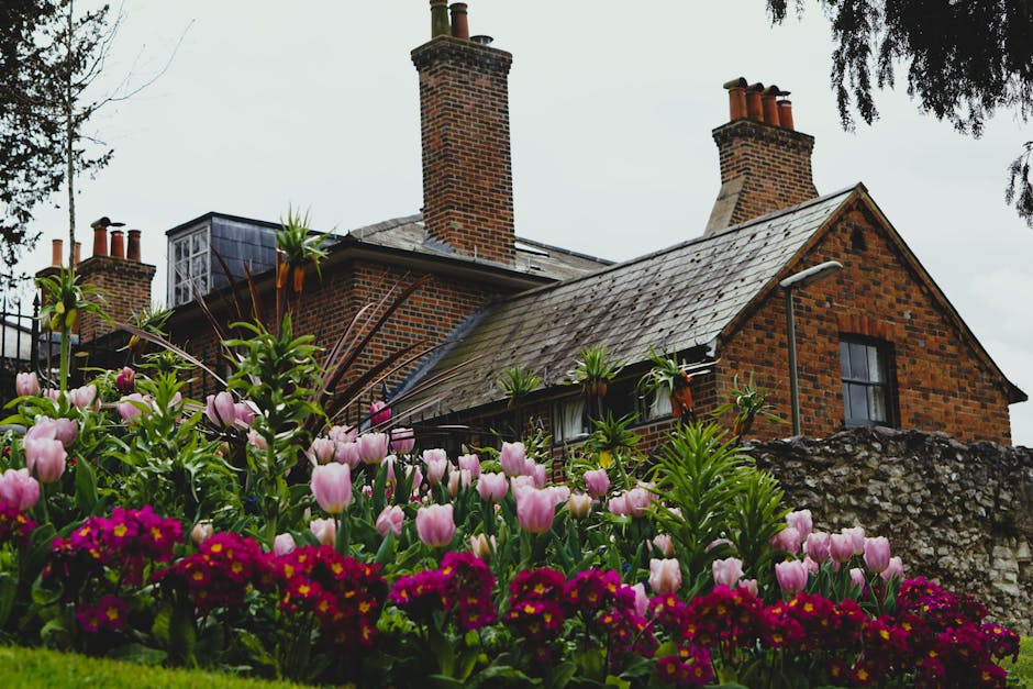 A traditional brick house with a pitched roof and multiple brick chimneys sits amidst a vibrant garden. The garden features a variety of flowering plants, including pink tulips and dark pink primroses