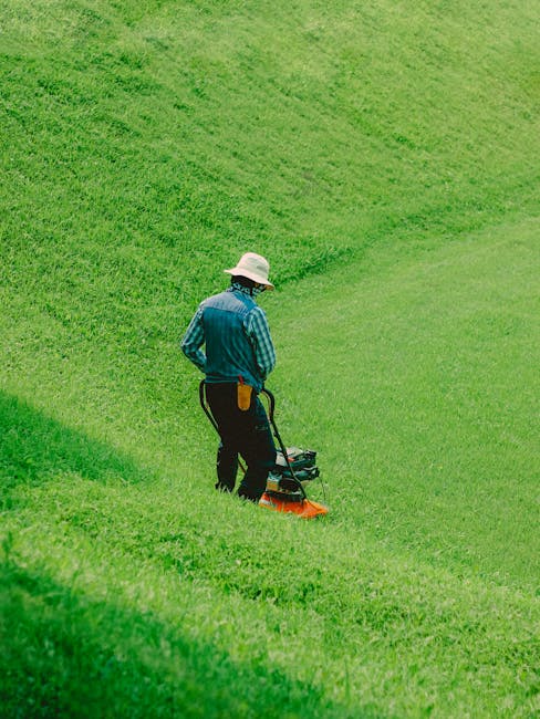 A gardener wearing a white hat and a blue shirt is trimming lush green grass on a gently sloping lawn. The lawn features a well-maintained, vibrant grassy area with neatly cut edges and a smooth surfa
