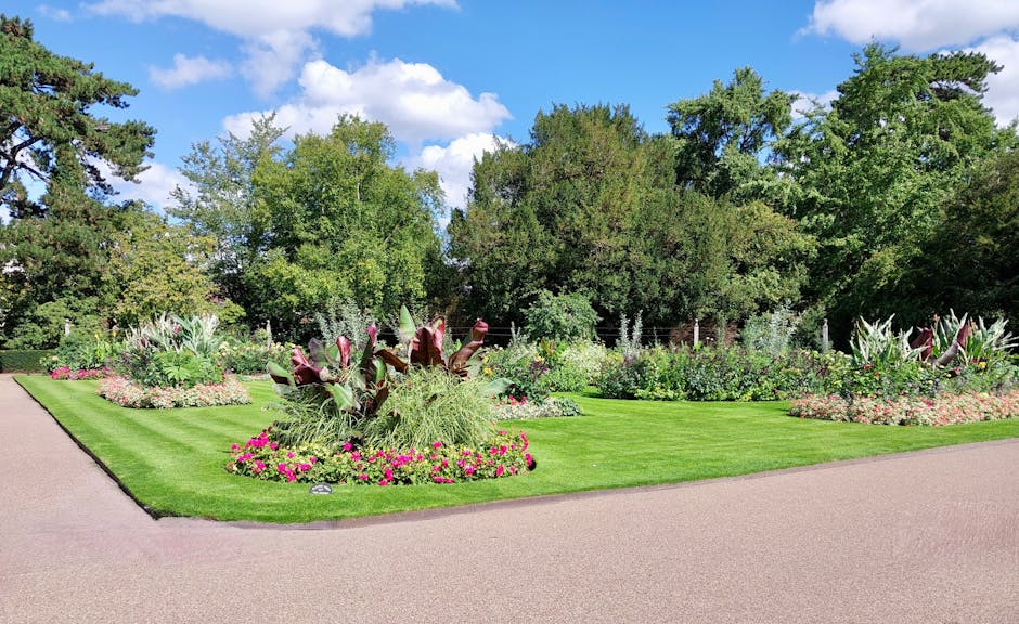 A gardener wearing a white hat and a blue shirt is trimming lush green grass on a gently sloping lawn. The lawn features a well-maintained, vibrant grassy area with neatly cut edges and a smooth surfa